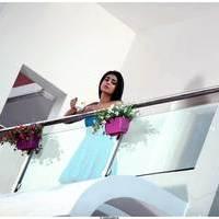 Shriya Saran Latest Pictures | Picture 512559