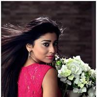 Shriya Saran Latest Pictures | Picture 512641