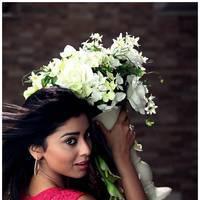 Shriya Saran Latest Pictures | Picture 512643
