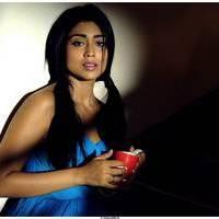 Shriya Saran Latest Pictures | Picture 512565