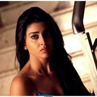 Shriya Saran Latest Pictures | Picture 512645