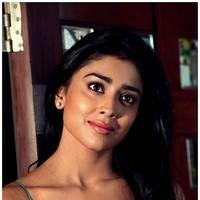 Shriya Saran Latest Pictures | Picture 512571