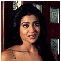 Shriya Saran Latest Pictures | Picture 512575