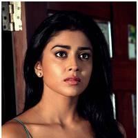 Shriya Saran Latest Pictures | Picture 512587