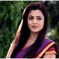 Nisha Agarwal Hot Saree Stills in Saradaga Ammayilatho Movie | Picture 513203