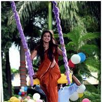 Nisha Agarwal Hot Saree Stills in Saradaga Ammayilatho Movie | Picture 513209