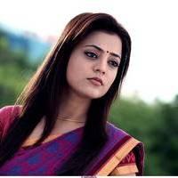 Nisha Agarwal Hot Saree Stills in Saradaga Ammayilatho Movie | Picture 513220