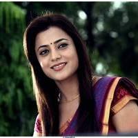 Nisha Agarwal Hot Saree Stills in Saradaga Ammayilatho Movie | Picture 513226