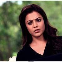 Nisha Agarwal Hot Saree Stills in Saradaga Ammayilatho Movie | Picture 513250