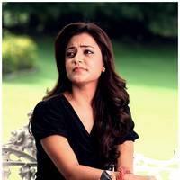 Nisha Agarwal Hot Saree Stills in Saradaga Ammayilatho Movie | Picture 513254