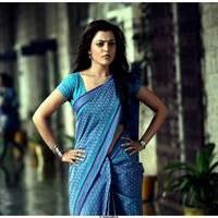 Nisha Agarwal Hot Saree Stills in Saradaga Ammayilatho Movie | Picture 513259
