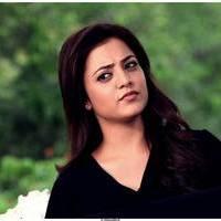 Nisha Agarwal Hot Saree Stills in Saradaga Ammayilatho Movie | Picture 513264