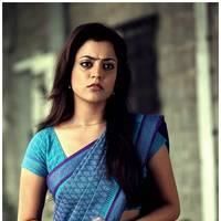 Nisha Agarwal Hot Saree Stills in Saradaga Ammayilatho Movie | Picture 513265