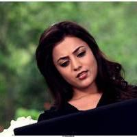 Nisha Agarwal Hot Saree Stills in Saradaga Ammayilatho Movie | Picture 513272