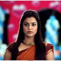 Nisha Agarwal Hot Saree Stills in Saradaga Ammayilatho Movie | Picture 513275