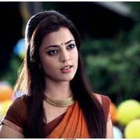 Nisha Agarwal Hot Saree Stills in Saradaga Ammayilatho Movie | Picture 513282