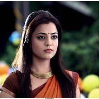 Nisha Agarwal Hot Saree Stills in Saradaga Ammayilatho Movie | Picture 513288