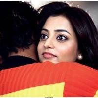 Nisha Agarwal Hot Saree Stills in Saradaga Ammayilatho Movie | Picture 513297