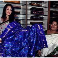 Deeksha Panth launches Pochampally Cotton Mela 2013 Photos | Picture 514640