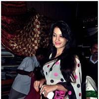 Deeksha Panth launches Pochampally Cotton Mela 2013 Photos | Picture 514650