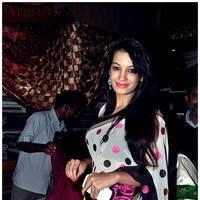 Deeksha Panth launches Pochampally Cotton Mela 2013 Photos | Picture 514688