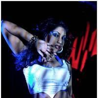 Komal Jha Latest Spicy Photos | Picture 517839