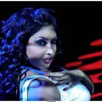 Komal Jha Latest Spicy Photos | Picture 517853