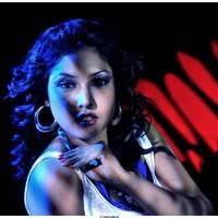 Komal Jha Latest Spicy Photos | Picture 517864