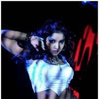 Komal Jha Latest Spicy Photos | Picture 517866