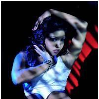 Komal Jha Latest Spicy Photos | Picture 517906