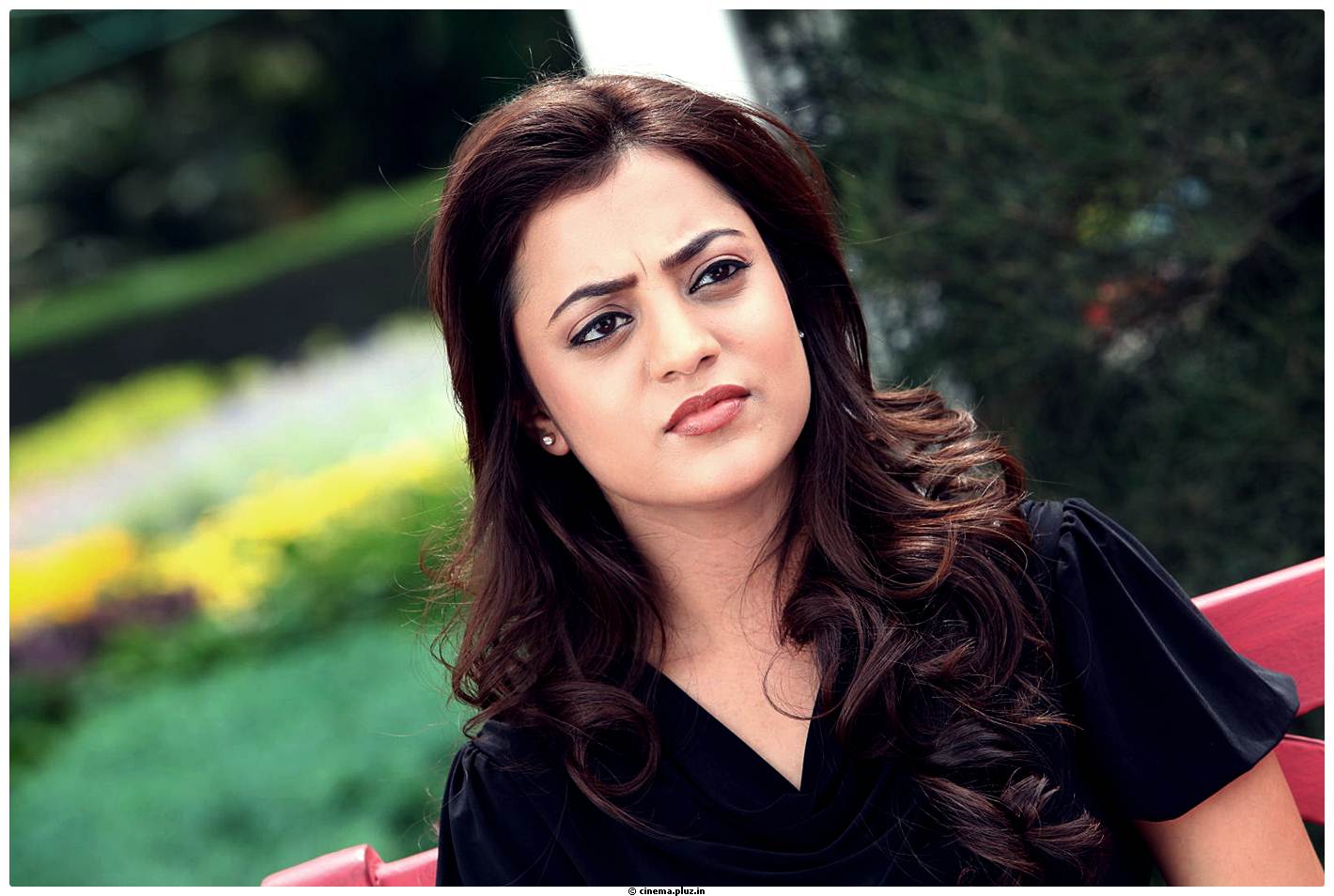 Nisha Agarwal Latest Images | Picture 517652