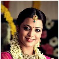 Nisha Agarwal Latest Images | Picture 517549