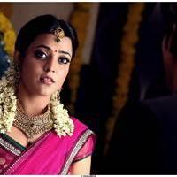 Nisha Agarwal Latest Images | Picture 517569