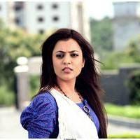 Nisha Agarwal Latest Images | Picture 517572