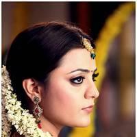 Nisha Agarwal Latest Images | Picture 517573
