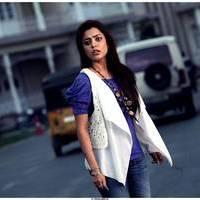 Nisha Agarwal Latest Images | Picture 517691