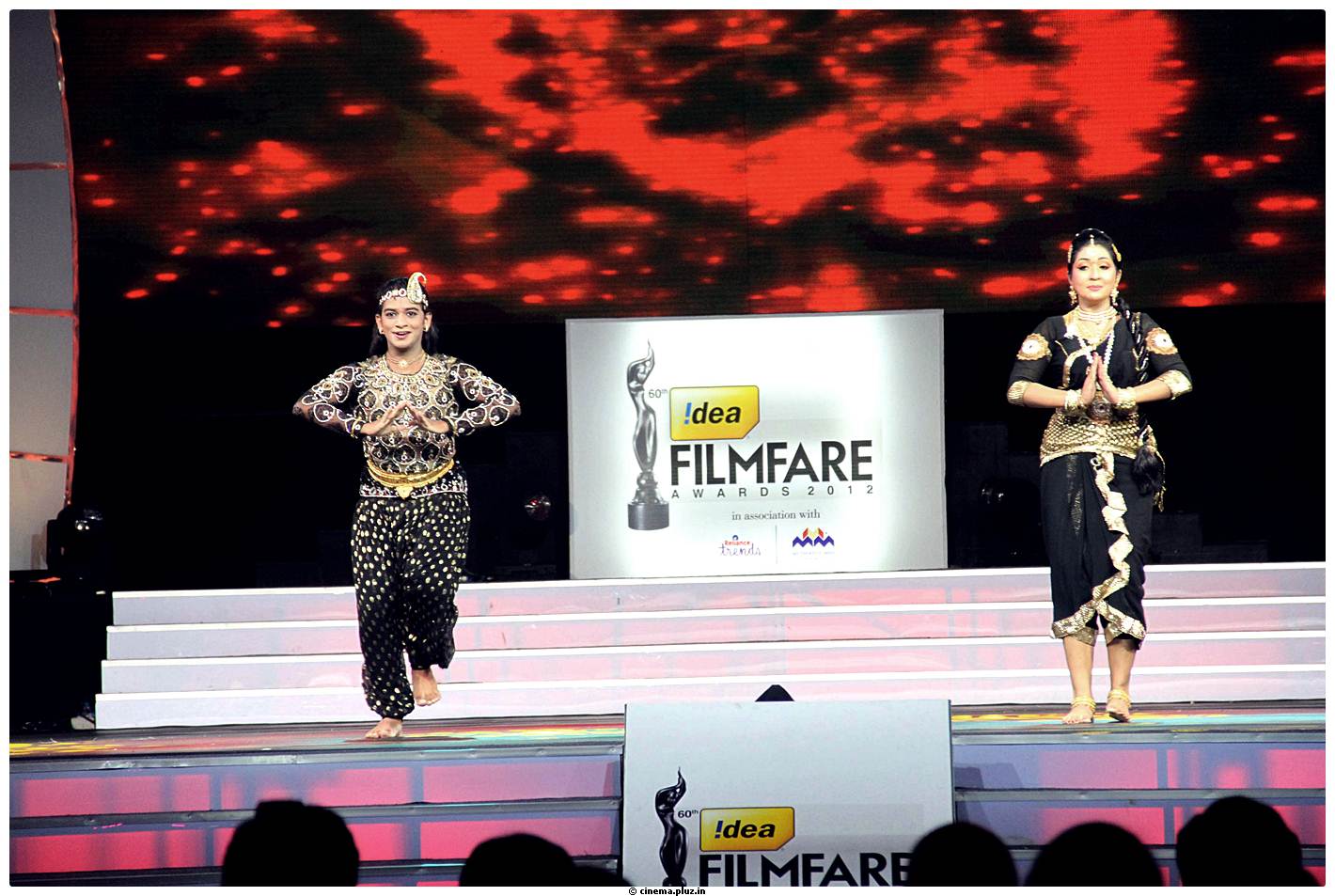60th Idea Filmfare Awards 2012 Performance & Awards Pictures | Picture 517524