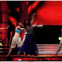 60th Idea Filmfare Awards 2012 Performance & Awards Pictures | Picture 517522