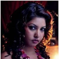 Komal Jha Latest Spicy Photos | Picture 517730