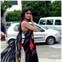 Sony Charishta in Hot Saree Images | Picture 519549