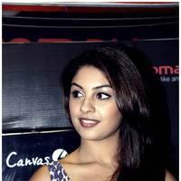Richa Gangopadhyay at Micromax Canvas HD 4 Launch Photos | Picture 519824