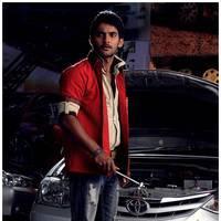 Aadi Sai Kumar - Rough Movie New Pictures | Picture 521478