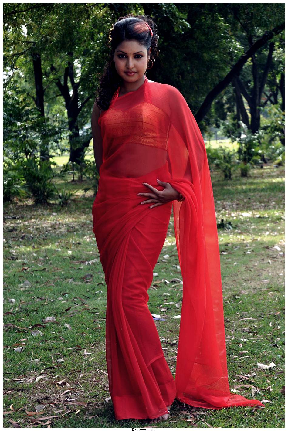 Komal Jha Latest Hot Saree Photos | Picture 522884