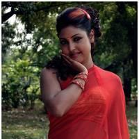 Komal Jha Latest Hot Saree Photos | Picture 522827
