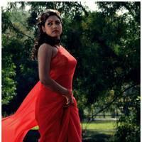 Komal Jha Latest Hot Saree Photos | Picture 522828