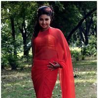 Komal Jha Latest Hot Saree Photos | Picture 522829