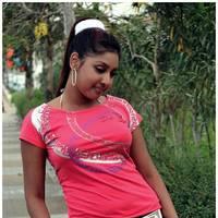 Komal Jha Latest Hot Saree Photos | Picture 522830