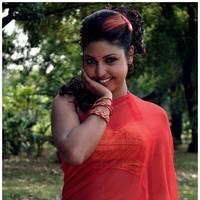 Komal Jha Latest Hot Saree Photos | Picture 522831