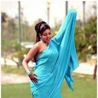 Komal Jha Latest Hot Saree Photos | Picture 522670