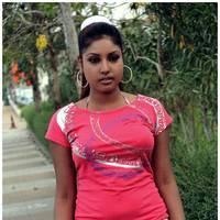 Komal Jha Latest Hot Saree Photos | Picture 522832